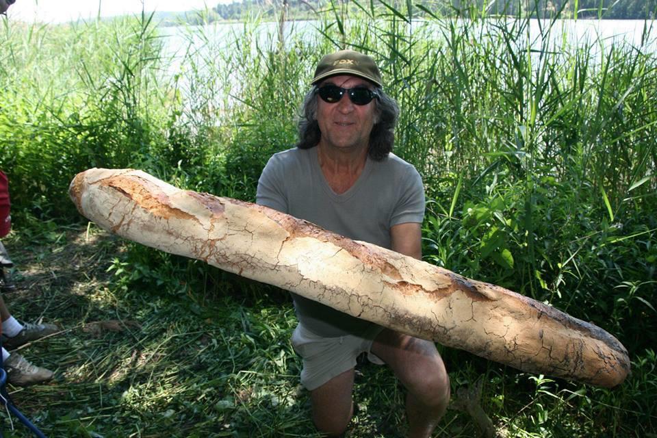 haioase - 1395130101519152797101861980558031n.jpg